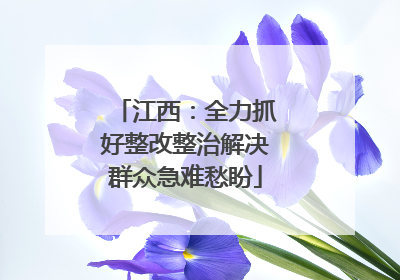 江西：全力抓好整改整治解决群众急难愁盼