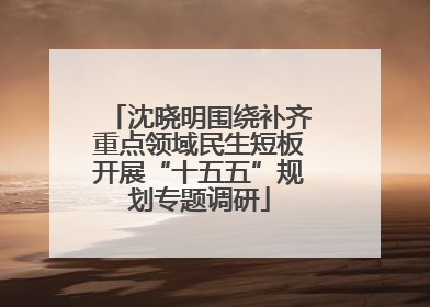 沈晓明围绕补齐重点领域民生短板开展“十五五”规划专题调研