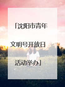 沈阳市青年文明号开放日活动举办