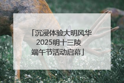 沉浸体验大明风华 2025明十三陵端午节活动启幕