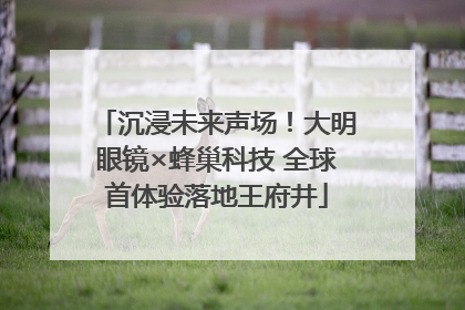 沉浸未来声场！大明眼镜×蜂巢科技 全球首体验落地王府井