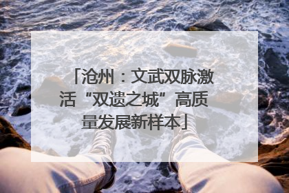沧州：文武双脉激活“双遗之城”高质量发展新样本