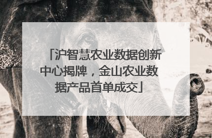 沪智慧农业数据创新中心揭牌，金山农业数据产品首单成交