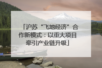 沪苏“飞地经济”合作新模式：以重大项目牵引产业链升级