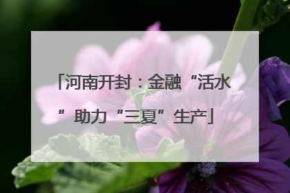 河南开封：金融“活水”助力“三夏”生产