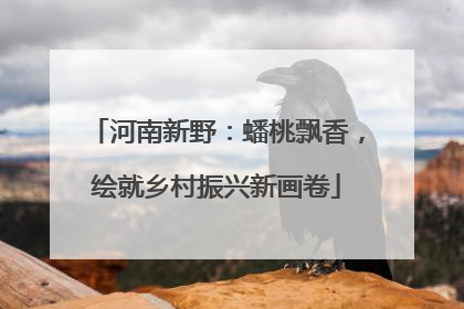 河南新野：蟠桃飘香，绘就乡村振兴新画卷