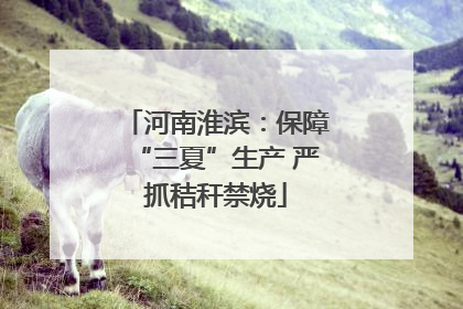 河南淮滨：保障“三夏”生产 严抓秸秆禁烧