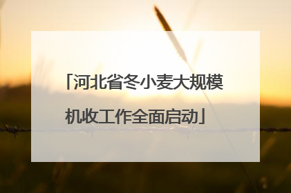 河北省冬小麦大规模机收工作全面启动