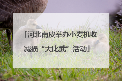 河北南皮举办小麦机收减损“大比武”活动