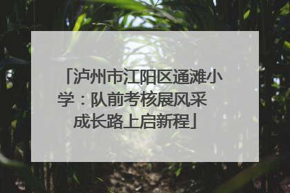 泸州市江阳区通滩小学：队前考核展风采 成长路上启新程