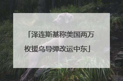 泽连斯基称美国两万枚援乌导弹改运中东