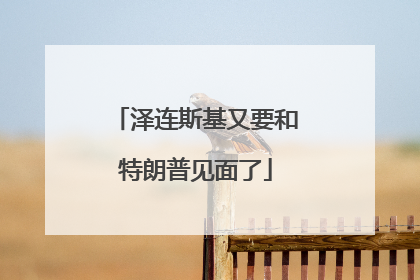 泽连斯基又要和特朗普见面了