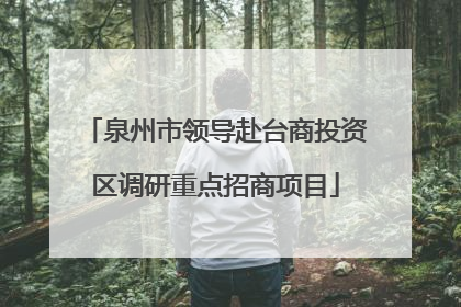 泉州市领导赴台商投资区调研重点招商项目