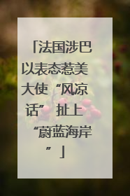法国涉巴以表态惹美大使“风凉话” 扯上“蔚蓝海岸”