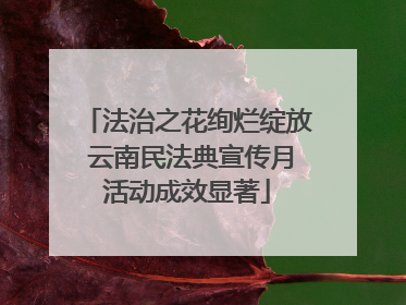 法治之花绚烂绽放 云南民法典宣传月活动成效显著
