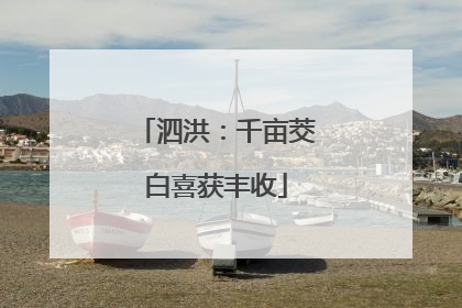 泗洪：千亩茭白喜获丰收