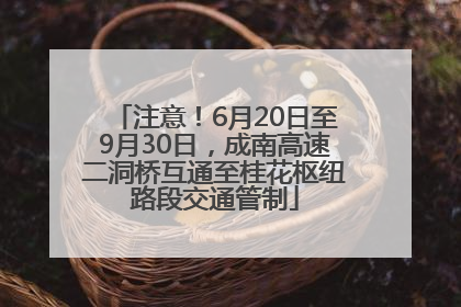 注意!6月20日至9月30日,成南高速二洞桥互通至桂花枢纽路段交通管制