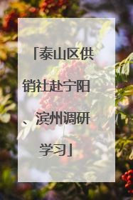 泰山区供销社赴宁阳、滨州调研学习