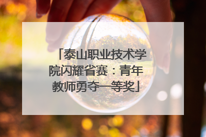 泰山职业技术学院闪耀省赛：青年教师勇夺一等奖