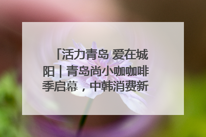 活力青岛 爱在城阳｜青岛尚小咖咖啡季启幕，中韩消费新场景点燃夏日热情