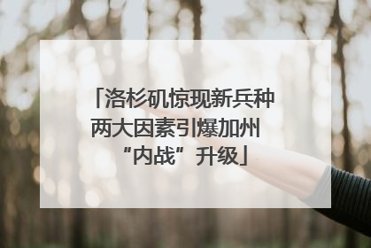 洛杉矶惊现新兵种 两大因素引爆加州“内战”升级