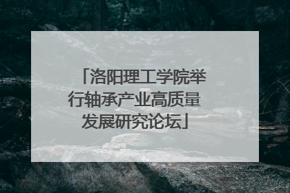 洛阳理工学院举行轴承产业高质量发展研究论坛