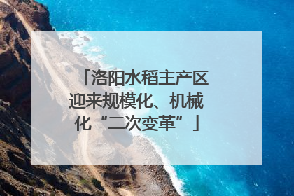 洛阳水稻主产区迎来规模化、机械化“二次变革”
