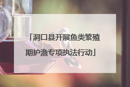 洞口县开展鱼类繁殖期护渔专项执法行动