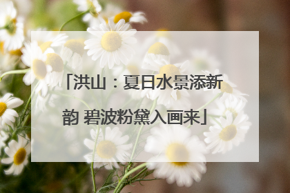 洪山：夏日水景添新韵 碧波粉黛入画来