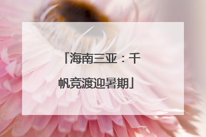 海南三亚：千帆竞渡迎暑期