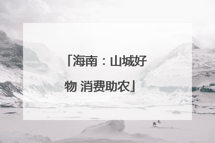 海南：山城好物 消费助农