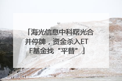 海光信息中科曙光合并停牌，资金杀入ETF基金找“平替”