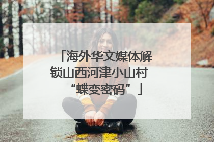 海外华文媒体解锁山西河津小山村“蝶变密码”