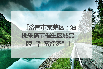 济南市莱芜区：油桃采摘节催生区域品牌“甜蜜经济”