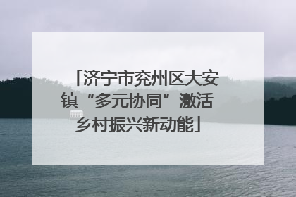 济宁市兖州区大安镇“多元协同”激活乡村振兴新动能