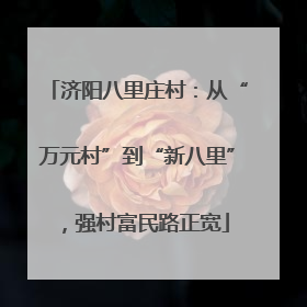 济阳八里庄村：从“万元村”到“新八里”，强村富民路正宽
