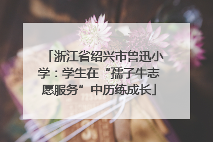 浙江省绍兴市鲁迅小学：学生在“孺子牛志愿服务”中历练成长