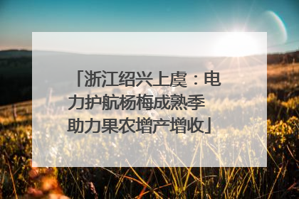 浙江绍兴上虞：电力护航杨梅成熟季 助力果农增产增收