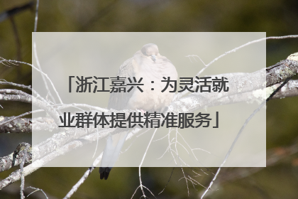 浙江嘉兴：为灵活就业群体提供精准服务