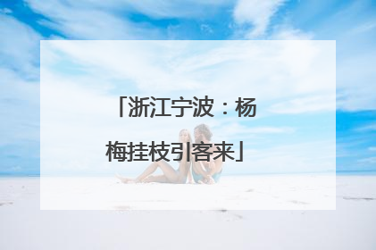 浙江宁波：杨梅挂枝引客来