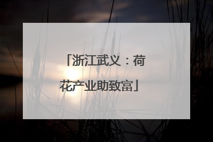 浙江武义：荷花产业助致富