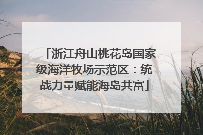 浙江舟山桃花岛国家级海洋牧场示范区：统战力量赋能海岛共富