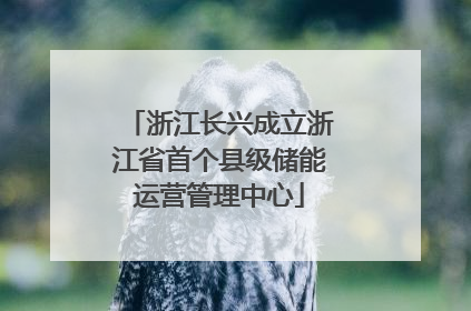 浙江长兴成立浙江省首个县级储能运营管理中心