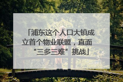浦东这个人口大镇成立首个物业联盟，直面“三多三难”挑战