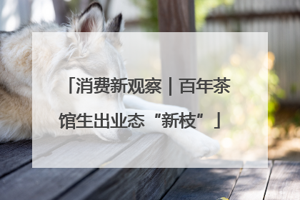 消费新观察｜百年茶馆生出业态“新枝”
