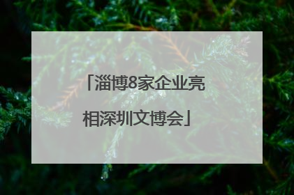 淄博8家企业亮相深圳文博会