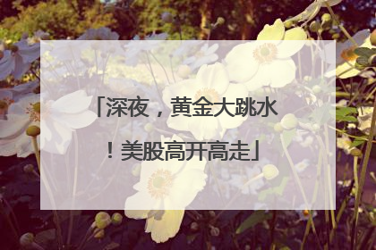 深夜，黄金大跳水！美股高开高走