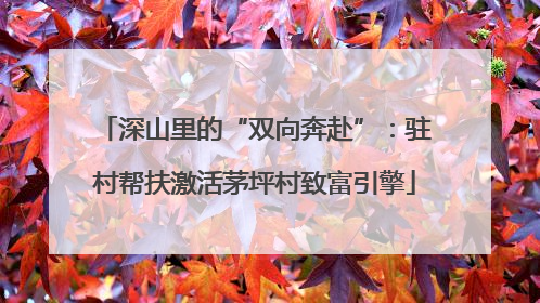 深山里的“双向奔赴”：驻村帮扶激活茅坪村致富引擎