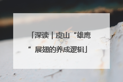 深读｜虞山“雄鹰”展翅的养成逻辑