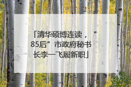 清华硕博连读，“85后”市政府秘书长李一飞履新职